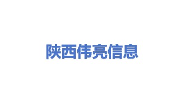 陕西伟亮信息技术有限公司