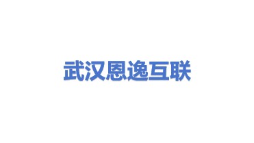 武汉恩逸互联科技有限公司