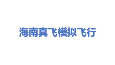 海南真飞模拟飞行科技有限公司