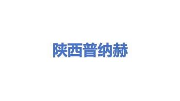 陕西普纳赫科技有限公司
