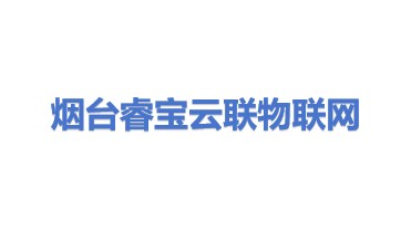 烟台睿宝云联物联网科技有限公司