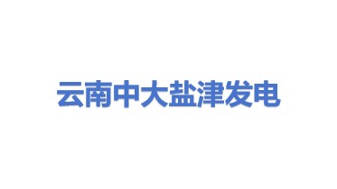 云南中大盐津发电有限公司