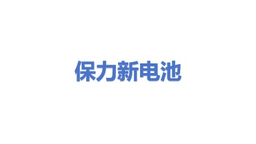 保力新（内蒙古）电池有限公司