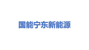 国能宁东新能源有限公司