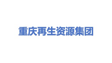 重庆市再生资源（集团）有限公司