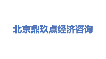 北京鼎玖点经济信息咨询有限公司
