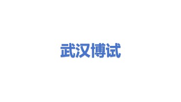 武汉博试电气有限公司
