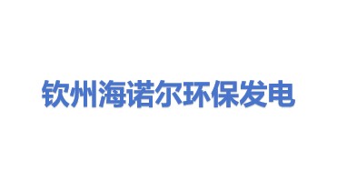 钦州海诺尔环保发电有限责任公司