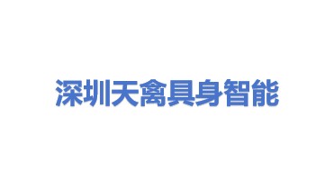 天禽具身智能机器人(深圳)有限公司