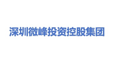 深圳市微峰投资控股集团有限公司