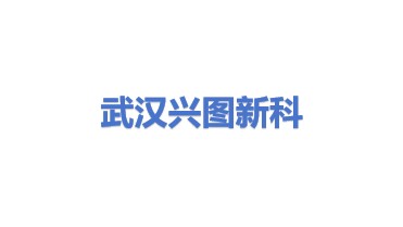 武汉兴图新科电子股份有限公司