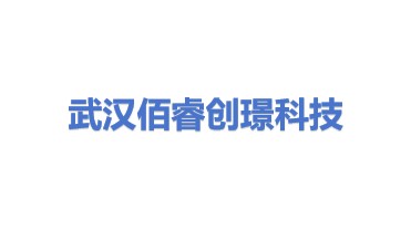 武汉佰睿创璟科技有限公司