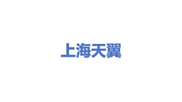 上海天翼船舶工程有限公司