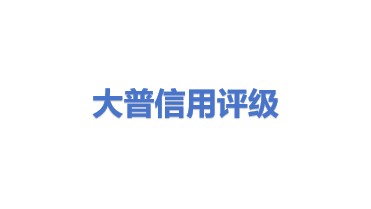 大普信用评级股份有限公司