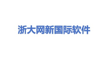 浙江浙大网新国际软件技术服务有限公司