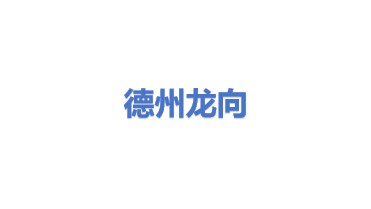 德州龙向新能源科技有限公司