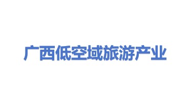 广西低空域旅游产业有限责任公司
