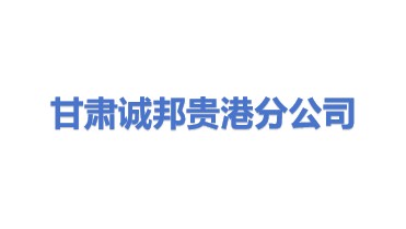 甘肃诚邦防雷检测有限公司贵港分公司