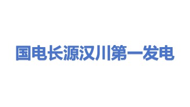 国电长源汉川第一发电有限公司