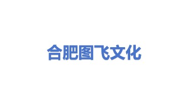 合肥市图飞文化科技有限责任公司