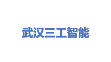 武汉三工智能设备制造有限公司
