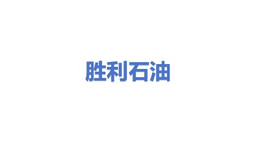 中国石化集团胜利石油管理局有限公司
