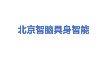智脑(北京)具身智能机器人有限公司