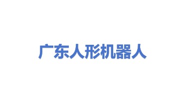 广东省人形机器人有限公司