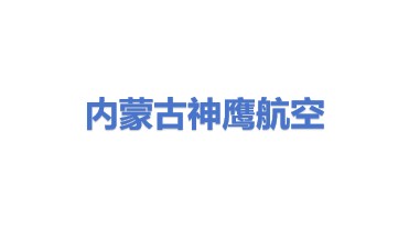 内蒙古神鹰航空集团有限公司