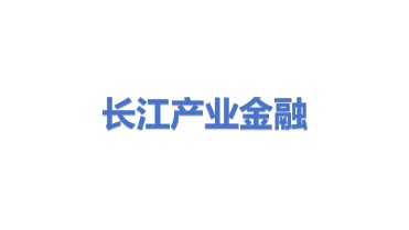 长江产业金融服务（武汉）有限公司