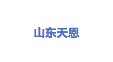 山东天恩综合能源有限公司