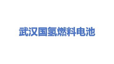 武汉国氢能源燃料电池有限公司
