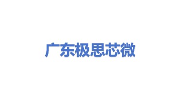 极思芯微电子(广东)有限公司