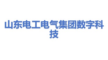 山东电工电气集团数字科技有限公司