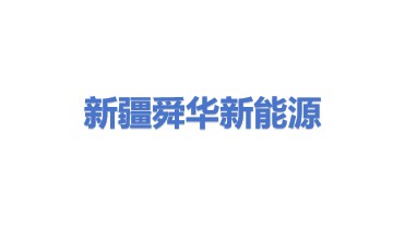 新疆舜华新能源系统有限公司