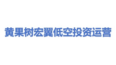 贵州省安顺市黄果树旅游区宏翼低空产业投资运营有限责任公司