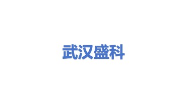 武汉市盛科技术发展有限公司