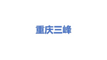 重庆三峰环境产业集团有限公司