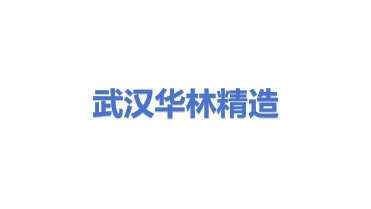 武汉华林精造电子有限公司