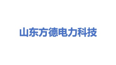 山东方德电力科技发展有限公司