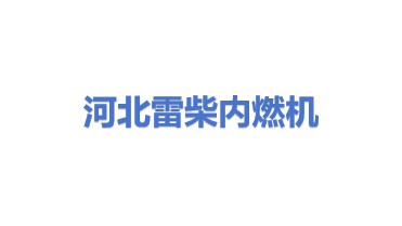 河北雷柴内燃机有限公司
