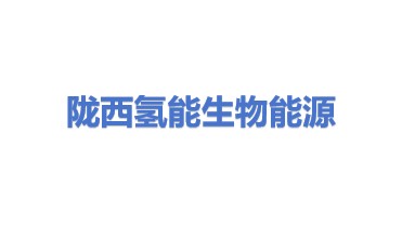 陇西氢能生物能源有限公司