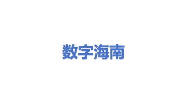 数字海南有限公司
