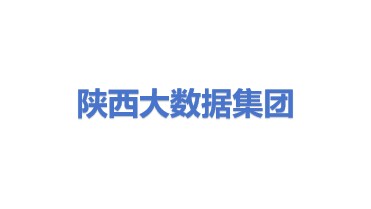 陕西省大数据集团有限公司