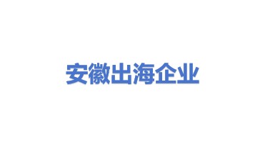 安徽出海企业管理有限公司