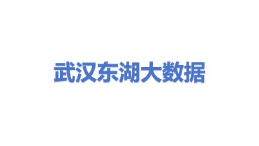 武汉东湖大数据科技股份有限公司