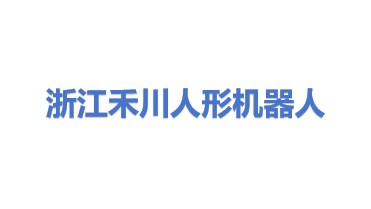 浙江禾川人形机器人有限公司