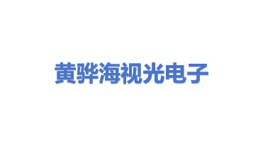 黄骅市海视光电子产品有限公司