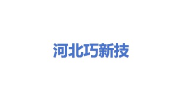 河北巧新技术服务有限公司