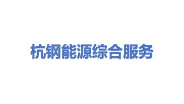 浙江杭钢能源综合服务有限公司